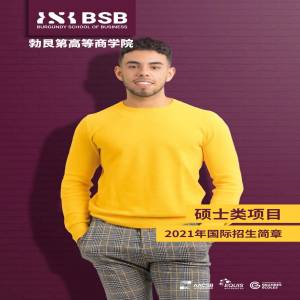 法国勃艮第商学院硕士阶段招生简章