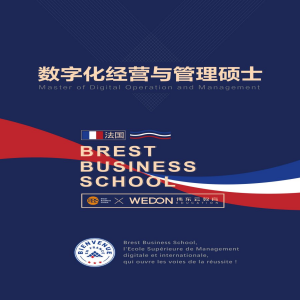 法国布雷斯特商学院数字化经营与管理专业硕士