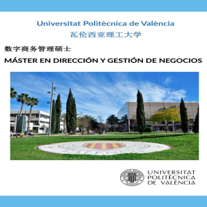 瓦伦西亚理工大学数字商务管理专业硕士