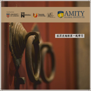 新加坡阿米提全球学院招生简章